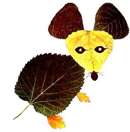 【招募令】小记者第六场主题活动“遇见秋天”系列之“树叶粘贴”等你挑战！